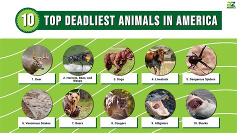 How Are Farm Animals The Deadliest In The United States